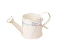 Modern Plant Watering Can - 1l Metal Pot, Compact Decorative Waterings Tool, Ideals for Indoors Plaants, Flowers, and Bonsai | Ideal for Home Office Balcony Garden Outdoor Indoor Plants Care