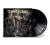 Modern Primitive - Vinyle 33 Tours