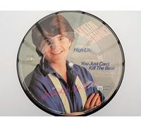 Modern Romance - Modern Romance High Life 7"PD WEA ROM2P EX 1983 7" picture disc in pvc sleeve