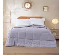 Modern Threads Couette réversible en Duvet Alternatif (améthyste/Argent, Queen Size)