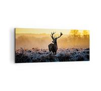 Moderne Impression sur Toile 100x40cm Image Tableau Decoration Murale Champ brouillard nature arbre Tableaux Decoratifs Muraux Chambre Panoramique Deco Cadre Décoration Salon Art Wall AB100x40-2428