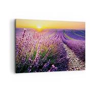 Moderne Impression sur Toile 100x70cm Image Tableau Decoration Murale Champ Lavande Soleil Grand Tableaux Decoratifs Muraux Chambre Horizontal Deco Cadre Décoration Salon Art Wall AA100x70-4703
