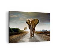 Moderne Impression sur Toile 100x70cm Image Tableau Decoration Murale Elephant Route Campagne Grand Tableaux Decoratifs Muraux Chambre Horizontal Deco Cadre Décoration Salon Art Wall AA100x70-0214