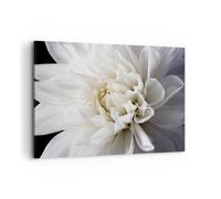 Moderne Impression sur Toile 100x70cm Image Tableau Decoration Murale Fleur Dahlia Nature Grand Tableaux Decoratifs Muraux Chambre Horizontal Deco Cadre Décoration Salon Art Wall AA100x70-5229