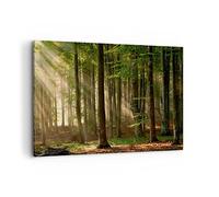 Moderne Impression sur Toile 100x70cm Image Tableau Decoration Murale forêt arbre nature Grand Tableaux Decoratifs Muraux Chambre Cuisine Horizontal Deco Cadre Décoration Salon Art Wall AA100x70-3628