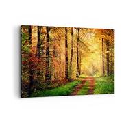 Moderne Impression sur Toile 100x70cm Image Tableau Decoration Murale forêt arbre nature Grand Tableaux Decoratifs Muraux Chambre Cuisine Horizontal Deco Cadre Décoration Salon Art Wall AA100x70-3718