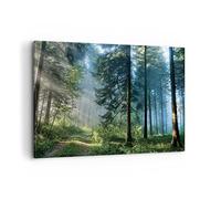 Moderne Impression sur Toile 100x70cm Image Tableau Decoration Murale Forêt Aube Le Soleil Grand Tableaux Decoratifs Muraux Chambre Horizontal Deco Cadre Décoration Salon Art Wall AA100x70-4398