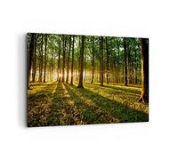 Moderne Impression sur Toile 100x70cm Image Tableau Decoration Murale Forêt vert rayons du soleil nature Tableaux Decoratifs Muraux Chambre Horizontal Deco Décoration Salon Art Wall AA100x70-2510