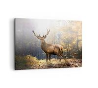 Moderne Impression sur Toile 100x70cm Image Tableau Decoration Murale Lumière Cerf Forêt Grand Tableaux Decoratifs Muraux Chambre Cuisine Horizontal Deco Cadre Décoration Salon Art Wall AA100x70-4452