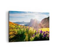 Moderne Impression sur Toile 100x70cm Image Tableau Decoration Murale montagnes prairie fleurs Grand Tableaux Decoratifs Muraux Chambre Horizontal Deco Cadre Décoration Salon Art Wall AA100x70-4008