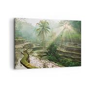 Moderne Impression sur Toile 100x70cm Image Tableau Decoration Murale Terrasses Rizières Palmiers Tableaux Decoratifs Muraux Chambre Horizontal Deco Cadre Décoration Salon Art Wall AA100x70-4665