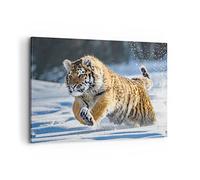 Moderne Impression sur Toile 100x70cm Image Tableau Decoration Murale tigre animal Grand Tableaux Decoratifs Muraux Chambre Cuisine Horizontal Deco Cadre Décoration Salon Art Wall Decor AA100x70-3928