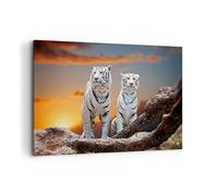 Moderne Impression sur Toile 100x70cm Image Tableau Decoration Murale Tigres blanc roche coucher de soleil Tableaux Decoratifs Muraux Chambre Horizontal Deco Décoration Salon Art Wall AA100x70-2901