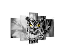 Moderne Impression sur Toile 150x100cm Image Tableau Decoration Murale Hibou oiseau nature Tableaux Decoratifs Muraux Chambre Triptyque 5 parties Deco Cadre Décoration Salon Art Wall EA150x100-1318