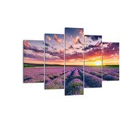 Moderne Impression sur Toile 150x100cm Image Tableau Decoration Murale lavande montagnes champ Tableaux Decoratifs Muraux Chambre Triptyque 5 parties Deco Décoration Salon Art Wall EA150x100-3816