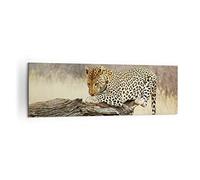Moderne Impression sur Toile 160x50cm Image Tableau Decoration Murale Afrique léopard chat Safari Tableaux Decoratifs Muraux Chambre Panoramique Deco Cadre Décoration Salon Art Wall AB160x50-2599