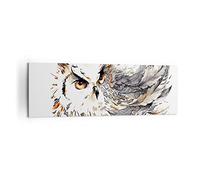Moderne Impression sur Toile 160x50cm Image Tableau Decoration Murale Chouette plumes la sagesse la nature Tableaux Decoratifs Muraux Chambre Panoramique Deco Décoration Salon Art Wall AB160x50-3016