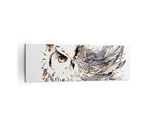 Moderne Impression sur Toile 160x50cm Image Tableau Decoration Murale Chouette plumes la sagesse la nature Tableaux Decoratifs Muraux Chambre Panoramique Deco Décoration Salon Art Wall AB160x50-3016