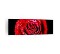 Moderne Impression sur Toile 160x50cm Image Tableau Decoration Murale Rose fleur pétales eau Grand Tableaux Decoratifs Muraux Chambre Panoramique Deco Cadre Décoration Salon Art Wall AB160x50-0370