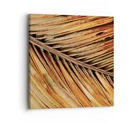 Moderne Impression sur Toile 40x40cm Image Tableau Decoration Murale Orange Feuille Tropical Tableaux Decoratifs Muraux Chambre Cuisine Carré Deco Cadre Décoration Salon Art Wall Decor AC40x40-4876