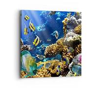 Moderne Impression sur Toile 40x40cm Image Tableau Decoration Murale Récif corallien océan crabe poisson Tableaux Decoratifs Muraux Chambre Carré Deco Cadre Décoration Salon Art Wall AC40x40-2662