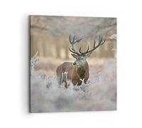 Moderne Impression sur Toile 70x70cm Image Tableau Decoration Murale cerf forêt nature Grand Tableaux Decoratifs Muraux Chambre Cuisine Carré Deco Cadre Décoration Salon Art Wall Decor AC70x70-3744