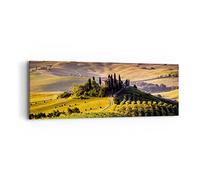 Moderne Impression sur Toile Agriculture ferme toscane vignoble Image Tableau Decoration Murale 90x30cm Deco Décoration Salon Chambre Panoramique Tableaux Decoratifs Muraux Art Wall AB90x30-2465