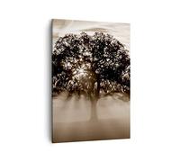 Moderne Impression sur Toile arbre champ nature Image Tableau Decoration Murale 50x70cm Deco Cadre Salon Chambre Cuisine Vertical Petit Tableaux Decoratifs Muraux Art Wall Decor Design PA50x70-3811