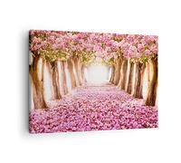 Moderne Impression sur Toile Arbre fleurs cerise nature Image Tableau Decoration Murale 70x50cm Deco Cadre Décoration Salon Chambre Cuisine Horizontal Tableaux Decoratifs Muraux Art Wall AA70x50-2794