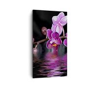 Moderne Impression sur Toile Asie exotique orchidée fleur Image Tableau Decoration Murale 45x80cm Deco Cadre Salon Chambre Cuisine Vertical Petit Tableaux Decoratifs Muraux Art Wall Decor PA45x80-2312