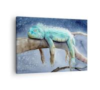 Moderne Impression sur Toile Caméléon Animal Paresse Image Tableau Decoration Murale 70x50cm Deco Cadre Décoration Salon Chambre Cuisine Horizontal Tableaux Decoratifs Muraux Art Wall AA70x50-5542