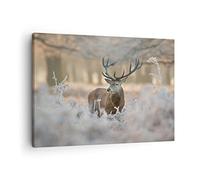 Moderne Impression sur Toile cerf forêt nature Image Tableau Decoration Murale 70x50cm Deco Cadre Décoration Salon Chambre Cuisine Horizontal Tableaux Decoratifs Muraux Art Wall Decor AA70x50-3744