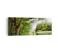 Moderne Impression sur Toile Chemin nature forêt vert Image Tableau Decoration Murale 140x50cm Deco Cadre Décoration Salon Chambre Panoramique Grand Tableaux Decoratifs Muraux Art Wall AB140x50-2637