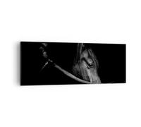 Moderne Impression sur Toile Cheval Animal Artistique Image Tableau Decoration Murale 140x50cm Deco Cadre Décoration Salon Chambre Panoramique Grand Tableaux Decoratifs Muraux Art Wall AB140x50-5492