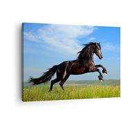 Moderne Impression sur Toile Cheval noir cheval galop Image Tableau Decoration Murale 70x50cm Deco Cadre Décoration Salon Chambre Cuisine Horizontal Tableaux Decoratifs Muraux Art Wall AA70x50-0495