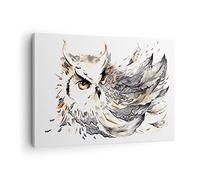 Moderne Impression sur Toile Chouette plumes la sagesse la nature Image Tableau Decoration Murale 70x50cm Deco Décoration Salon Chambre Horizontal Tableaux Decoratifs Muraux Art Wall AA70x50-3016