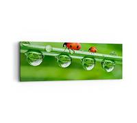 Moderne Impression sur Toile Coccinelles eau vert environnement Image Tableau Decoration Murale 90x30cm Deco Décoration Salon Chambre Panoramique Tableaux Decoratifs Muraux Art Wall AB90x30-2661
