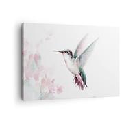 Moderne Impression sur Toile Colibri Aquarelle Lumière Image Tableau Decoration Murale 70x50cm Deco Cadre Décoration Salon Chambre Cuisine Horizontal Tableaux Decoratifs Muraux Art Wall AA70x50-4518