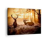 Moderne Impression sur Toile Deer bruyère animaux Image Tableau Decoration Murale 70x50cm Deco Cadre Décoration Salon Chambre Cuisine Horizontal Tableaux Decoratifs Muraux Art Wall Decor AA70x50-3043