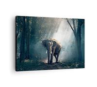 Moderne Impression sur Toile éléphant nature Image Tableau Decoration Murale 70x50cm Deco Cadre Décoration Salon Chambre Cuisine Horizontal Tableaux Decoratifs Muraux Art Wall Decor AA70x50-3972