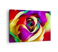 Moderne Impression sur Toile fleur couleur rose Image Tableau Decoration Murale 70x50cm Deco Cadre Décoration Salon Chambre Cuisine Horizontal Tableaux Decoratifs Muraux Art Wall Decor AA70x50-3623