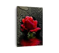 Moderne Impression sur Toile Fleur rose rouge eau rosée Image Tableau Decoration Murale 50x70cm Deco Cadre Salon Chambre Cuisine Vertical Petit Tableaux Decoratifs Muraux Art Wall Decor PA50x70-2367