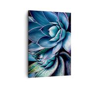 Moderne Impression sur Toile Fleurs Botanique Plantes Succulentes Image Tableau Decoration Murale 50x70cm Deco Salon Chambre Cuisine Vertical Petit Tableaux Decoratifs Muraux Art Wall PA50x70-6007