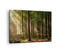 Moderne Impression sur Toile forêt arbre nature Image Tableau Decoration Murale 70x50cm Deco Cadre Décoration Salon Chambre Cuisine Horizontal Tableaux Decoratifs Muraux Art Wall Decor AA70x50-3628