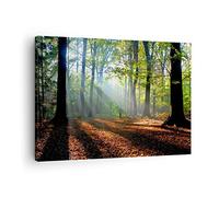Moderne Impression sur Toile Forêt Feuilles Soleil Image Tableau Decoration Murale 70x50cm Deco Cadre Décoration Salon Chambre Cuisine Horizontal Tableaux Decoratifs Muraux Art Wall AA70x50-0136