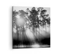 Moderne Impression sur Toile Forêt Pin Soleil Image Tableau Decoration Murale 60x60cm Deco Cadre Décoration Salon Chambre Cuisine Carré Grand Tableaux Decoratifs Muraux Art Wall Decor AC60x60-4829