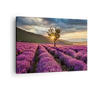 Moderne Impression sur Toile lavande montagnes champ Image Tableau Decoration Murale 70x50cm Deco Cadre Décoration Salon Chambre Cuisine Horizontal Tableaux Decoratifs Muraux Art Wall AA70x50-3645