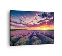 Moderne Impression sur Toile lavande montagnes champ Image Tableau Decoration Murale 70x50cm Deco Cadre Décoration Salon Chambre Cuisine Horizontal Tableaux Decoratifs Muraux Art Wall AA70x50-3816