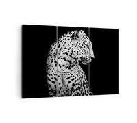 Moderne Impression sur Toile Léopard Panthère Chat Image Tableau Decoration Murale 105x70cm Deco Cadre Décoration Salon Chambre Triptyque 3 parties Tableaux Decoratifs Muraux Art Wall CE105x70-4919