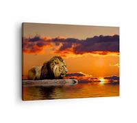 Moderne Impression sur Toile Lion Soleil Paysage Image Tableau Decoration Murale 70x50cm Deco Cadre Décoration Salon Chambre Cuisine Horizontal Tableaux Decoratifs Muraux Art Wall Decor AA70x50-0230